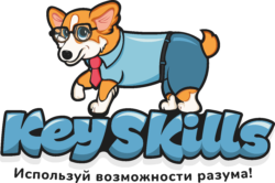 KeySKILLS логотип
